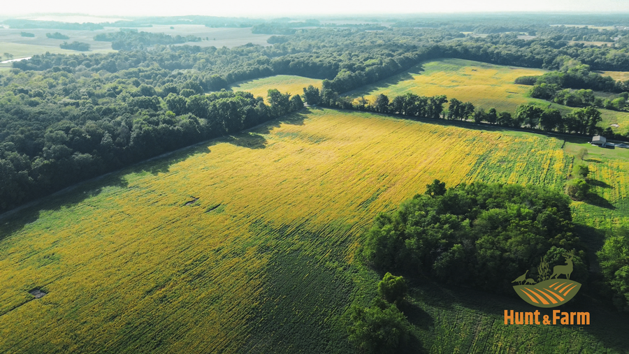 143 acre Legacy Farmland